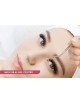 Cil à cil +Epilation visage+Epilation Sourcils+Brushing